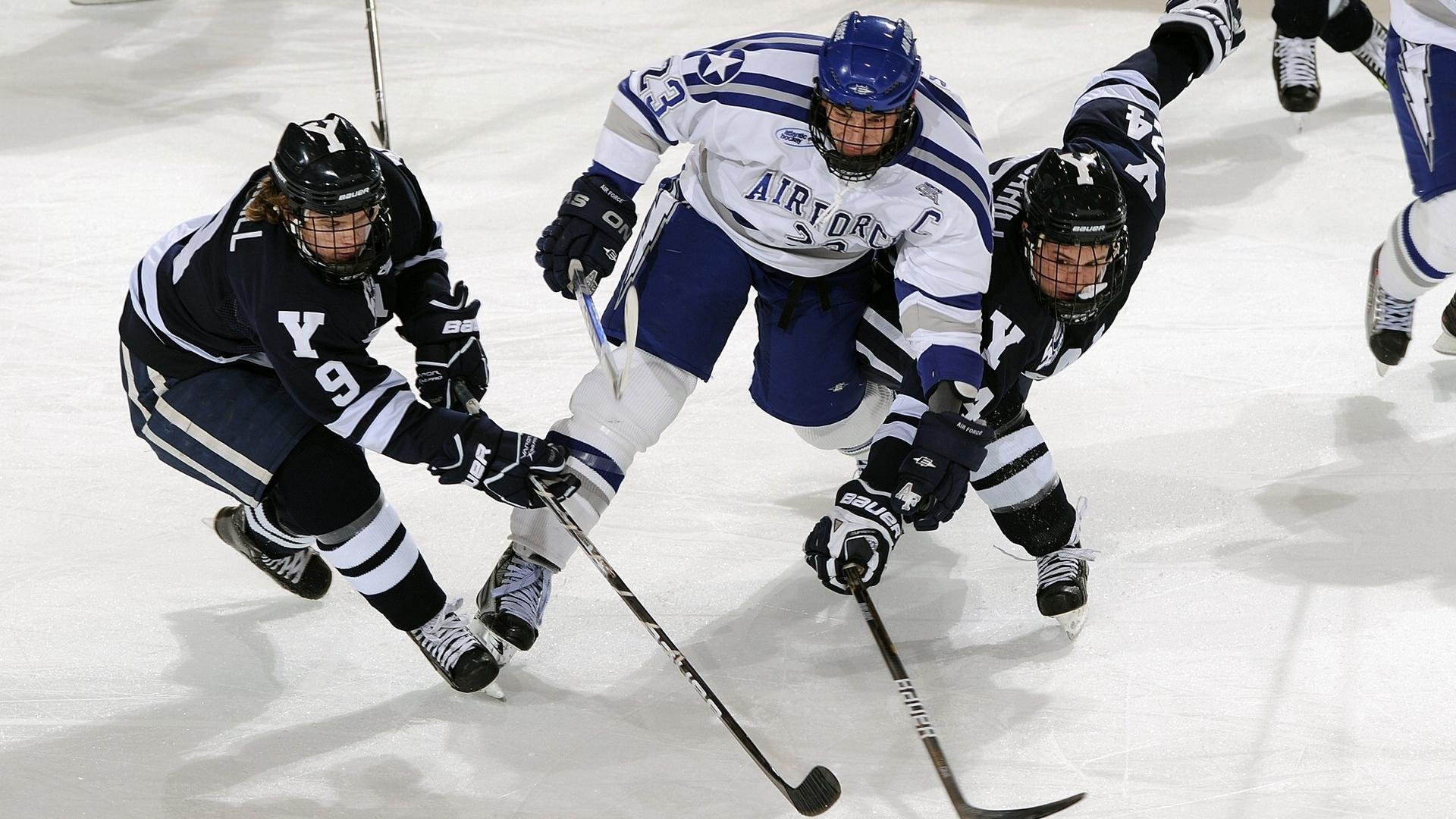 布莱顿主场战平伯恩茅斯，实力对等难分胜负，布莱顿对伯恩利分析